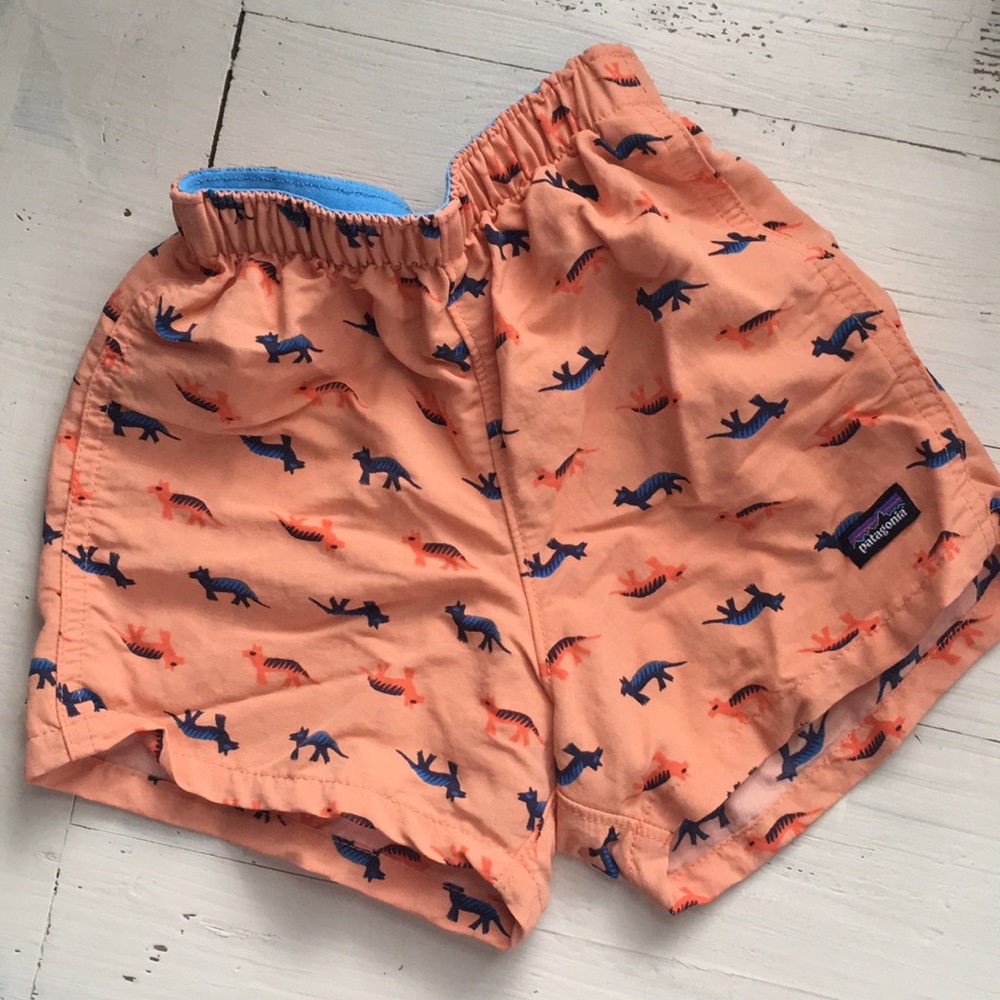 Patagonia Swim Trunks